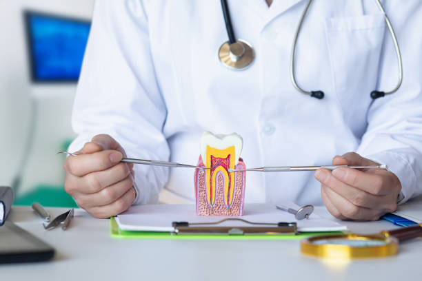 Best Broken or Cracked Tooth Emergency Dentist in Firestone, CO